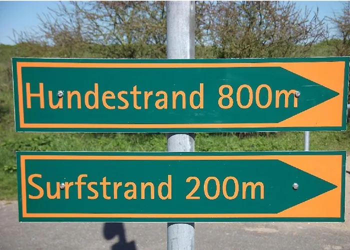 Schwimmendes Swimming Lounge Ferienhaus Kappeln